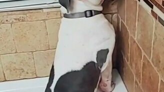 Я не желаю купаться! - смотреть видео (0:30)