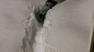 Каково коротконожке в сугробе - смотреть видео (0:26)