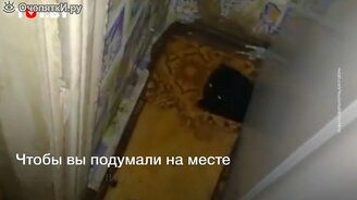 16 чертят из подпола - смотреть видео (0:26)