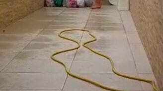 Побег умной крысы - смотреть видео (0:32)