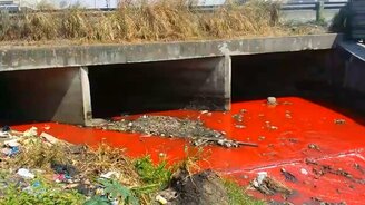 Река покраснела - смотреть видео (1:05)