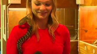 Да не кусается эта змея! - смотреть видео (0:50)