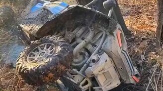 Резко врезались в дерево - смотреть видео (0:15)