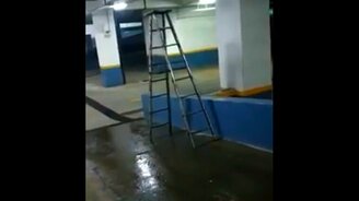 Самостоятельная стремянка - смотреть видео (0:29)