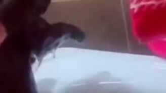 Котя, котя, иди сюда! - смотреть видео (0:12)