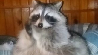 Как согреть руки в холод - смотреть видео (0:12)