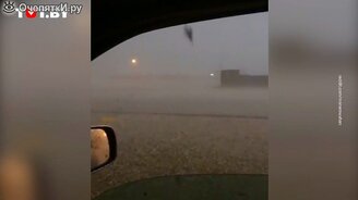 Жуткий дождь из насекомых - смотреть видео (0:16)