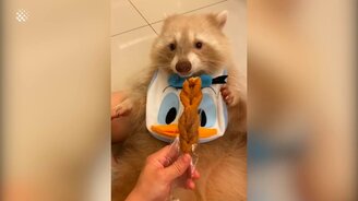 80 чудесных моментов - смотреть видео (25:30)