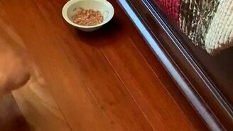 Мне еду под диван - смотреть видео (0:11)