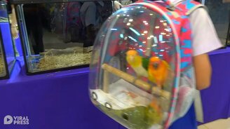 Ношу друзей с собой - смотреть видео (0:38)