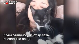 Кот чихнул хозяйке прямо в лицо - смотреть видео (0:20)