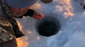 Улов идеального размера - смотреть видео (1:16)