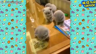 Жизнерадостные питомцы - смотреть видео (10:03)