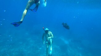 Рыба атакует водолазов - смотреть видео (0:15)