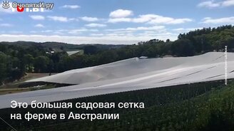 Что будет, если ударить по огромной сетке с водой - смотреть видео (0:35)