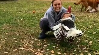 Объятия с индейкой - смотреть видео (0:06)