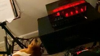 Что за странные звуки - смотреть видео (0:35)