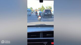 Кошка-пассажирка - смотреть видео (0:13)