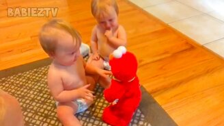 Близнецы и двойняшки в прикольных видео - смотреть видео (4:31)