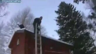 С лестницы в кусты - смотреть видео (0:27)