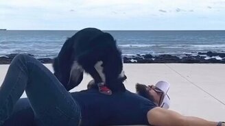 Собака делает массаж сердца - смотреть видео (0:37)