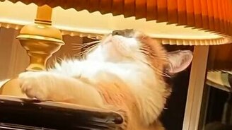 Лучше всякого солярия - смотреть видео (0:05)