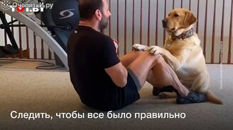 Пёс тренирует хозяина - смотреть видео (0:37)