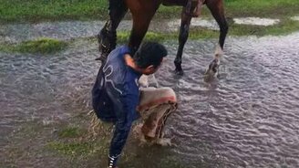Провал наездника на лошади - смотреть видео (0:07)