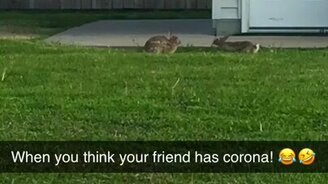 Как избегать конфликта - смотреть видео (0:15)