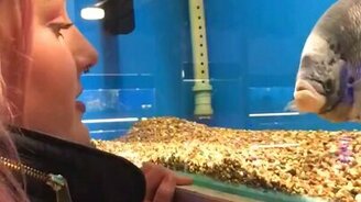 Как поговорить с рыбой - смотреть видео (0:21)