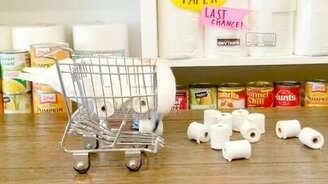 Какаду запасается бумагой - смотреть видео (0:51)