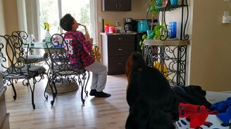 Собака подвывает саксофону - смотреть видео (0:38)