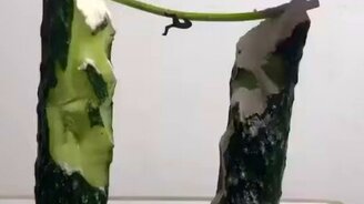 Самый дешёвая и красивая афиша - смотреть видео (0:16)