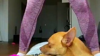 Проверила закон физики - смотреть видео (0:06)