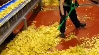 Любишь чипсы? - смотреть видео (0:23)