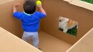 Когда все при деле - смотреть видео (0:30)