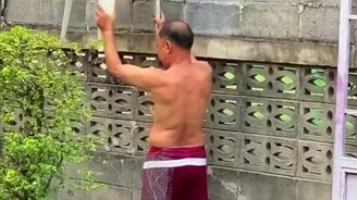 Когда кошка боится высоты - смотреть видео (0:10)