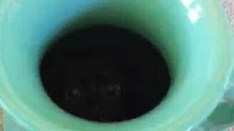 Атака из вазы - смотреть видео (0:12)