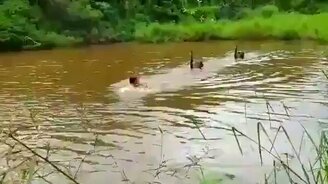 Как мстит чёрный лебедь - смотреть видео (0:30)