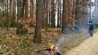 Двое ломают с разбегу бревно - смотреть видео (0:27)