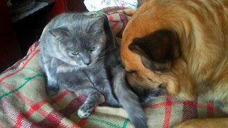 Забота о ближнем - смотреть видео (0:28)