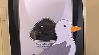 Чайка какает на руку? - смотреть видео (0:03)