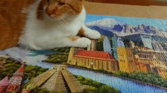 Я закончил паззл! - смотреть видео (0:21)