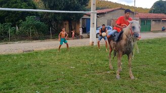 Лошадь забивает гол - смотреть видео (0:21)