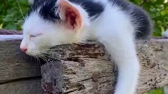 Как неудобно уснул - смотреть видео (0:24)