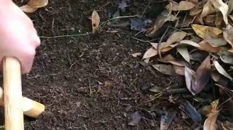 Как привлечь к себе червей - смотреть видео (0:21)