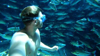 Нырнул к рыбам - смотреть видео (0:38)