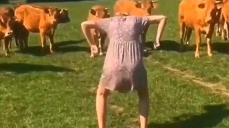 Как напугать скотину - смотреть видео (0:57)