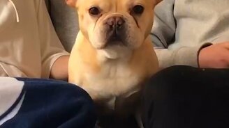 Перемены в жизни после карантина - смотреть видео (1:00)