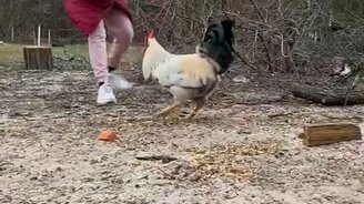 На дворе видео не снимать! - смотреть видео (0:14)